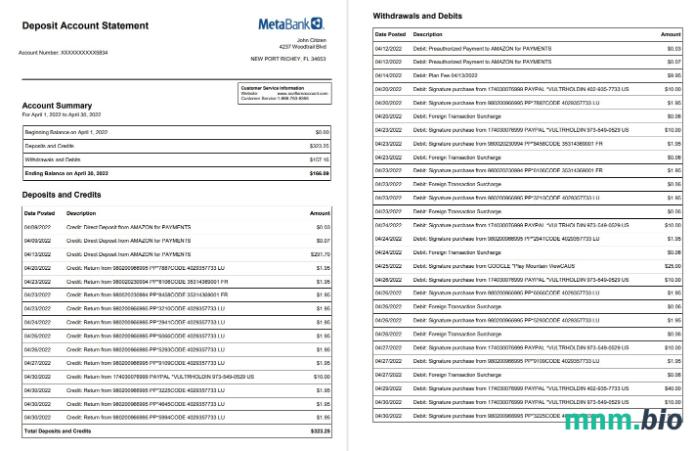 USA meta wyciąg bankowy szablon Worda i PDF